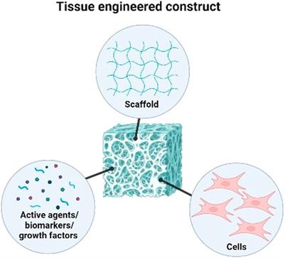 Functionalised-biomatrix for wound healing and cutaneous regeneration: future impactful medical products in clinical translation and precision medicine